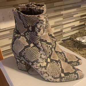 Suede Snakeskin ELORY Bootie - Steve Madden